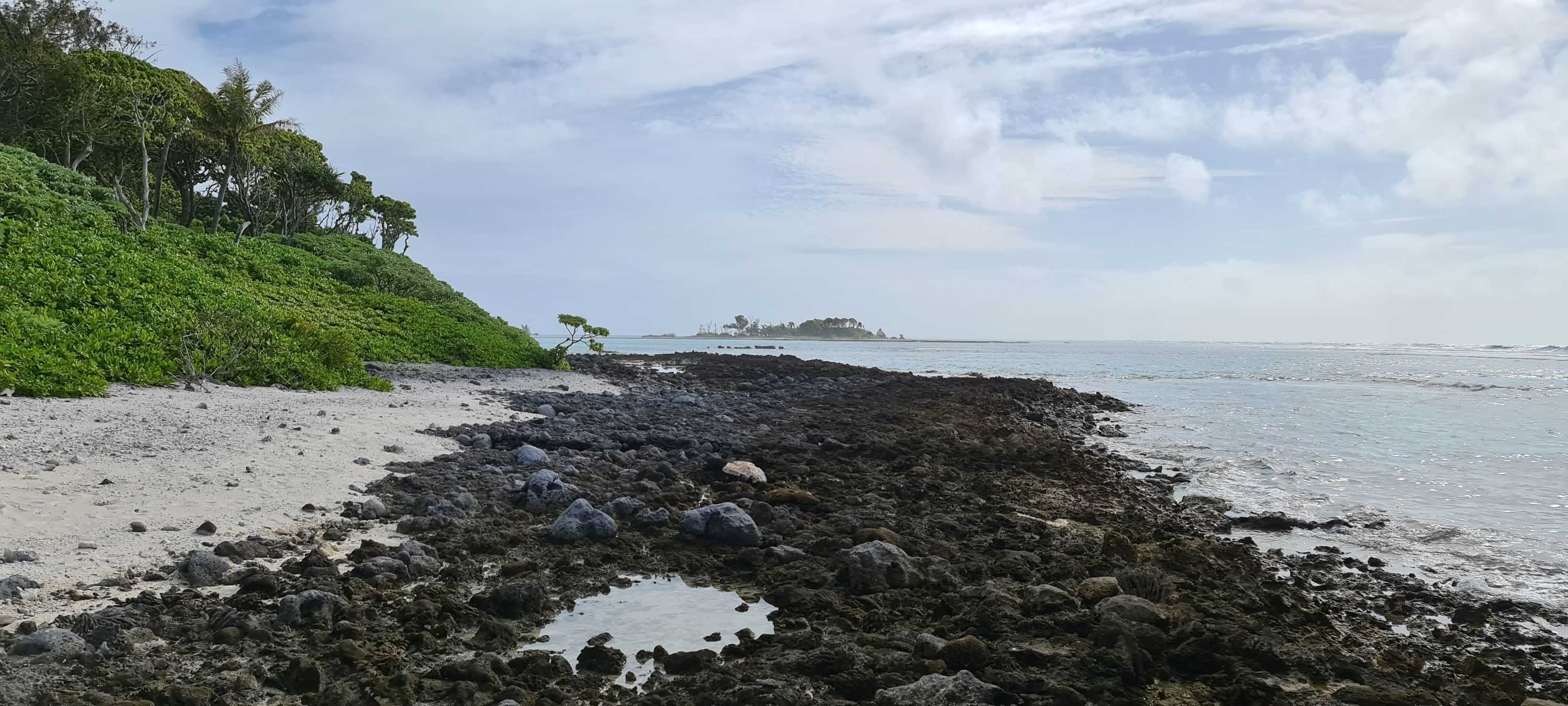 Pohnpeian image