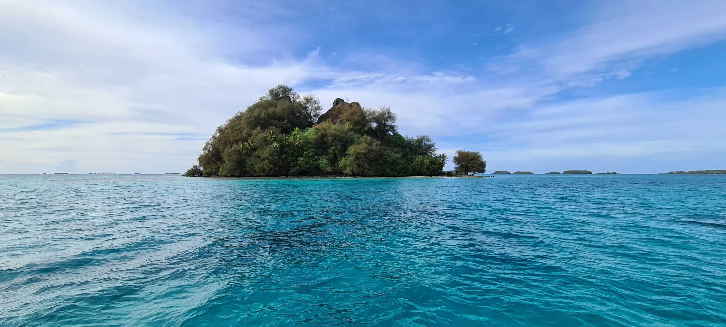 Palauan image