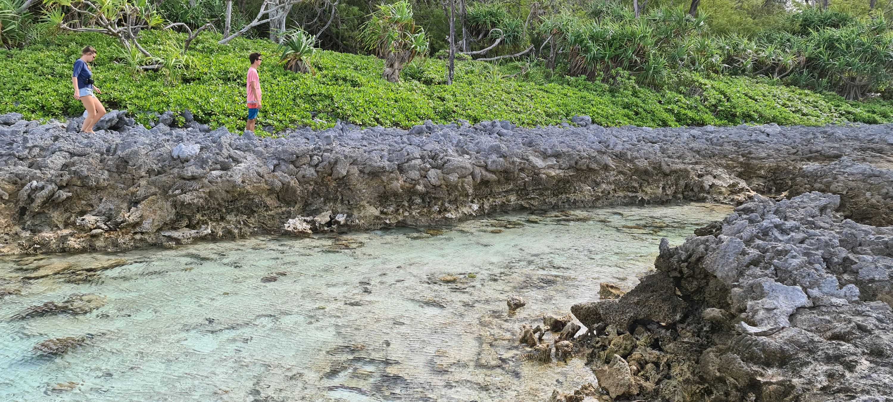 Niuean image