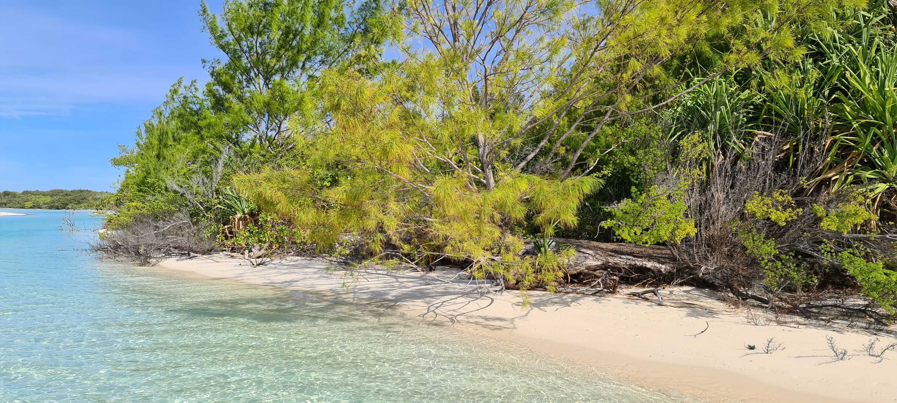 Tuvaluan image