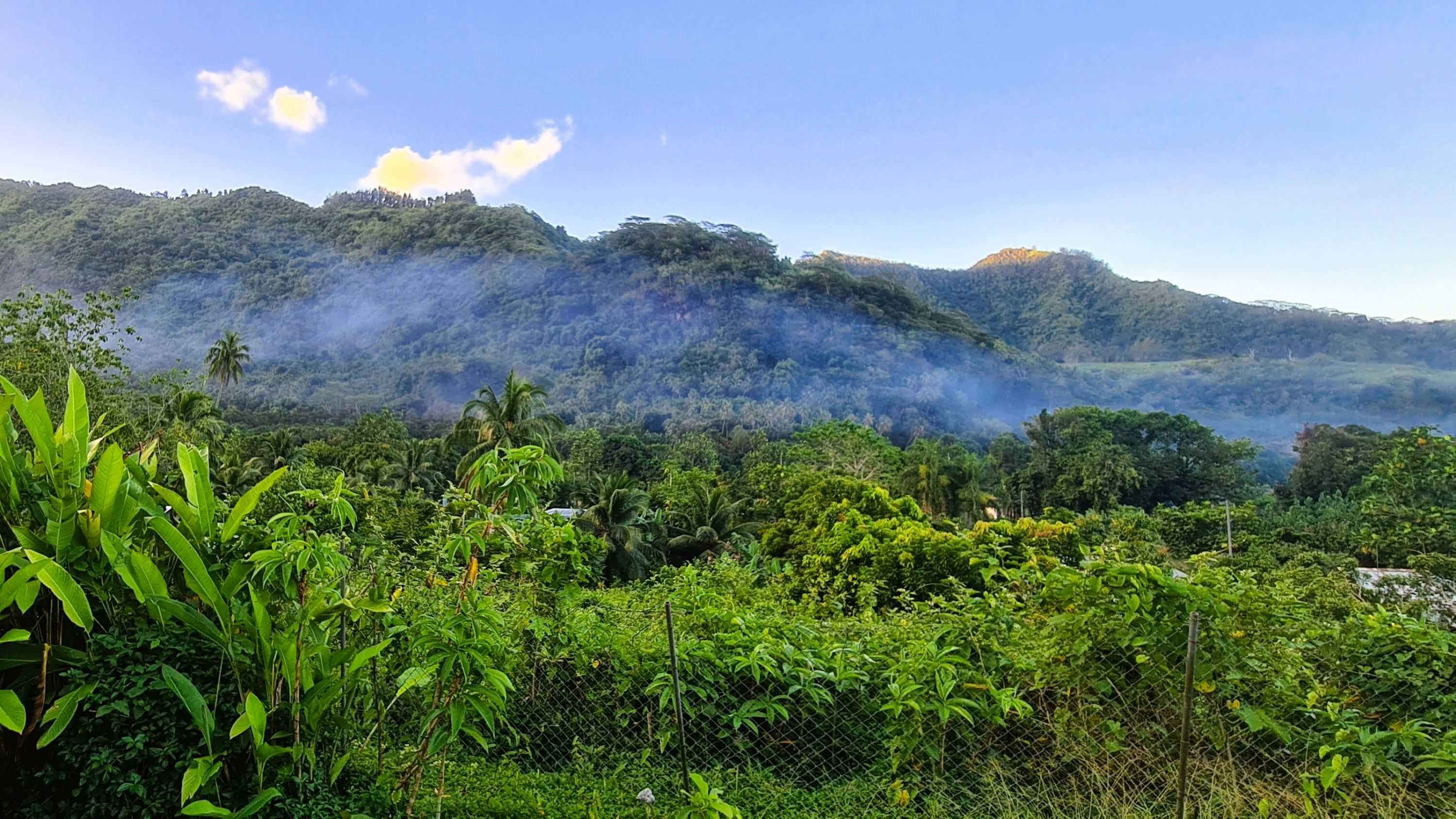 Bislama image