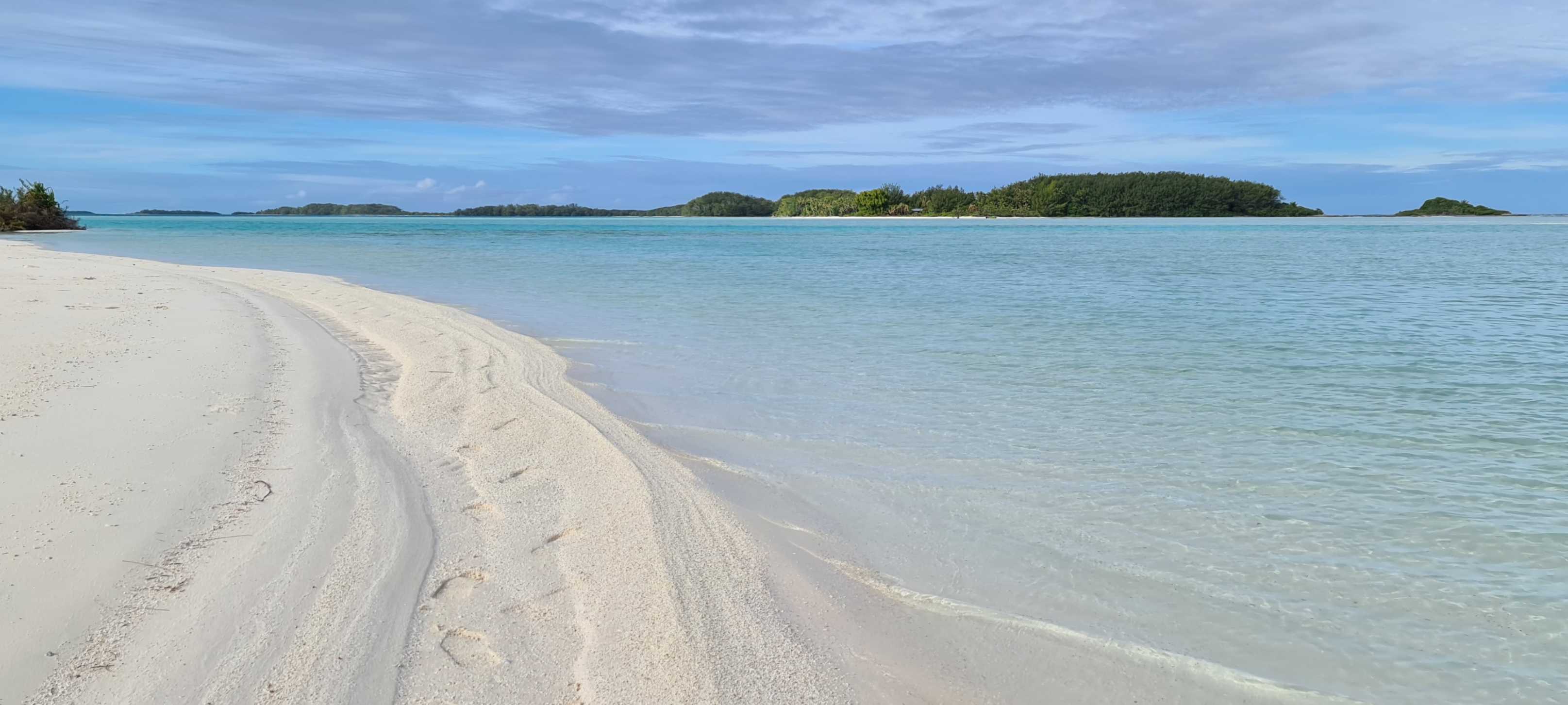 Rarotongan image