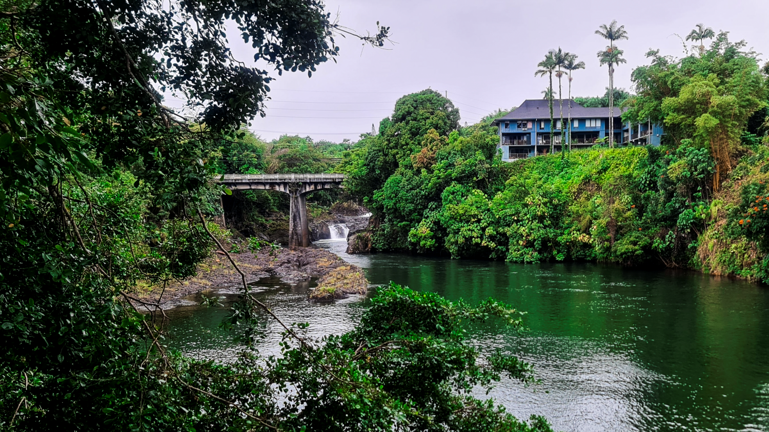 Russian Hilo Wailuku image